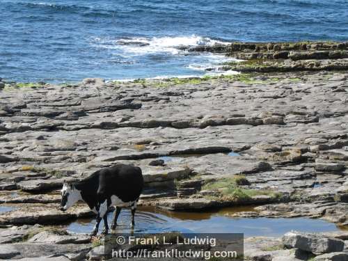 Streedagh Strand